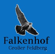 Falkenhof Großer Feldberg