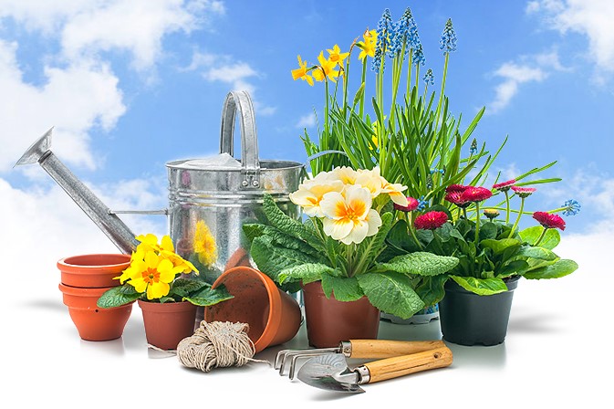 Beiser Manfred Blumen und Gartenbau