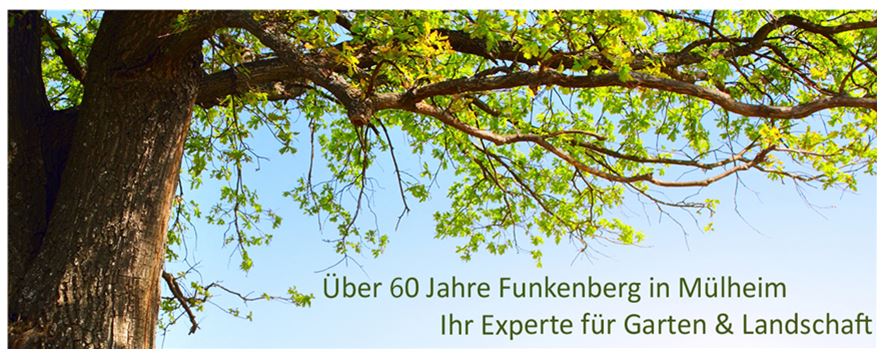 Funkenberg & Sohn GmbH