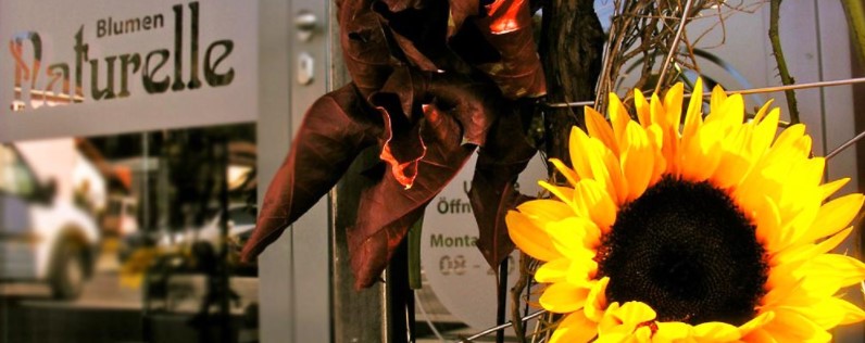 Blumen Naturelle
