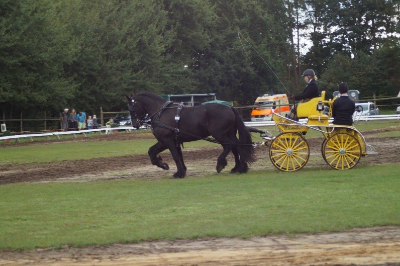 SFS-Fahrsport