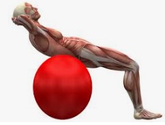 Praxis für Physisotherapie Gabriele Trommer 