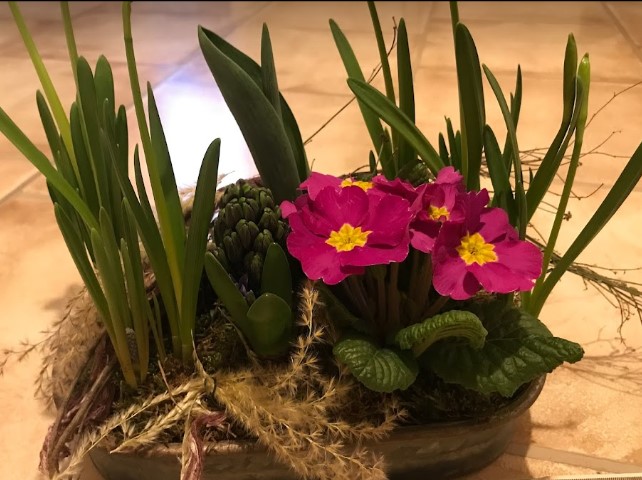 Blumen Wohütt