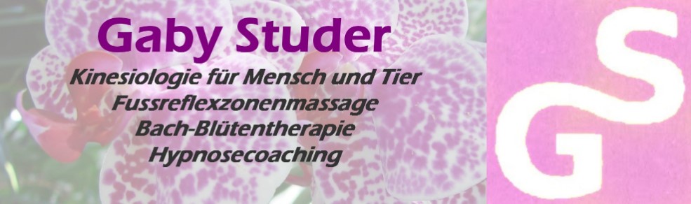 Gaby Studer Kinesiologie + Hypnosecoaching