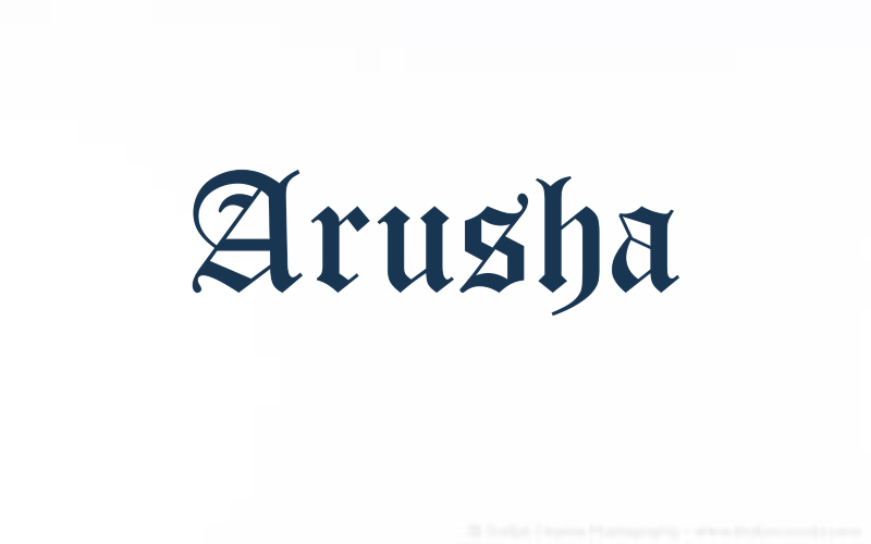 Arusha Baudienstleistungen